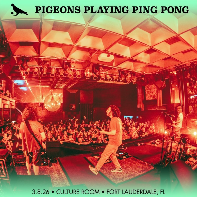 Pigeons Playing Ping Pong