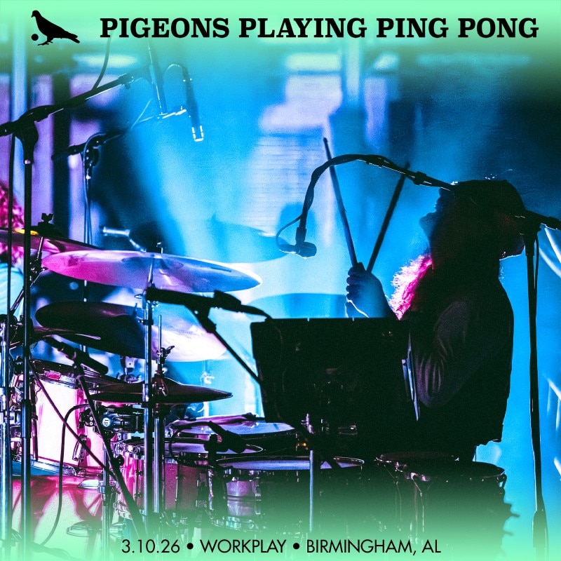 Pigeons Playing Ping Pong