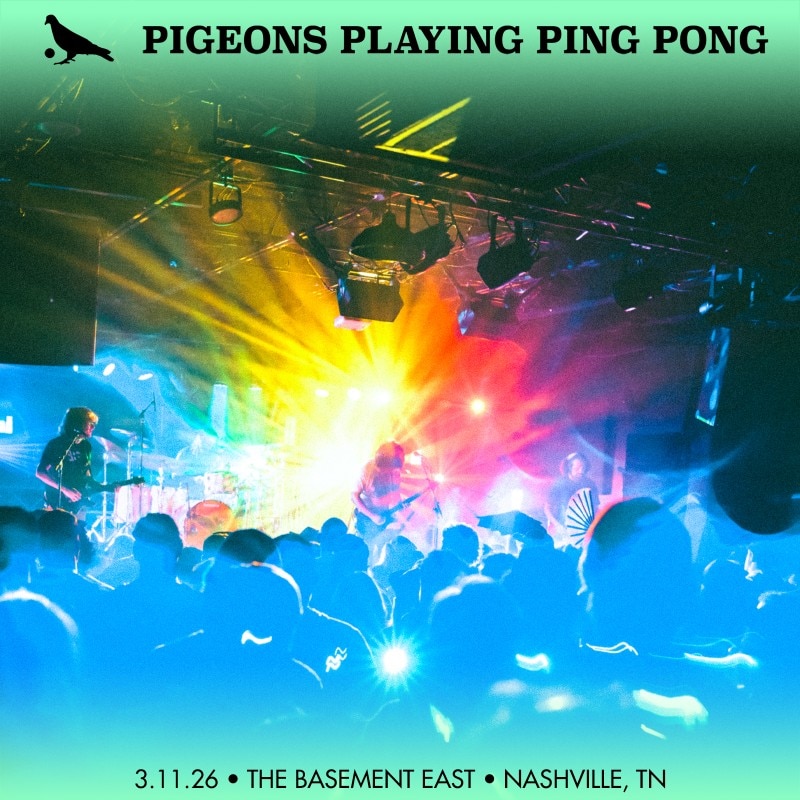 Pigeons Playing Ping Pong