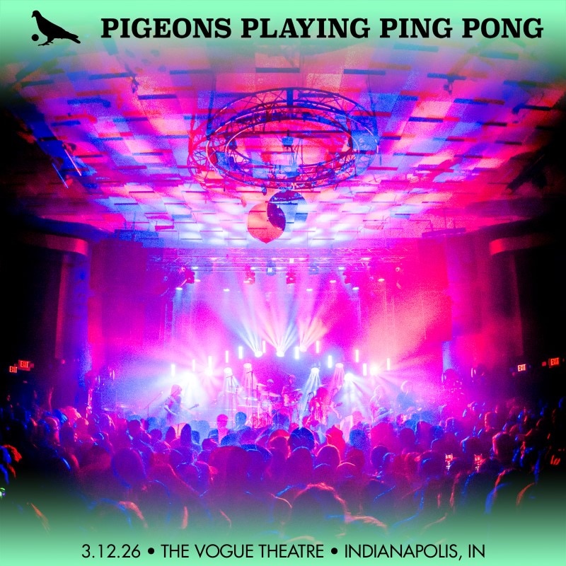 Pigeons Playing Ping Pong