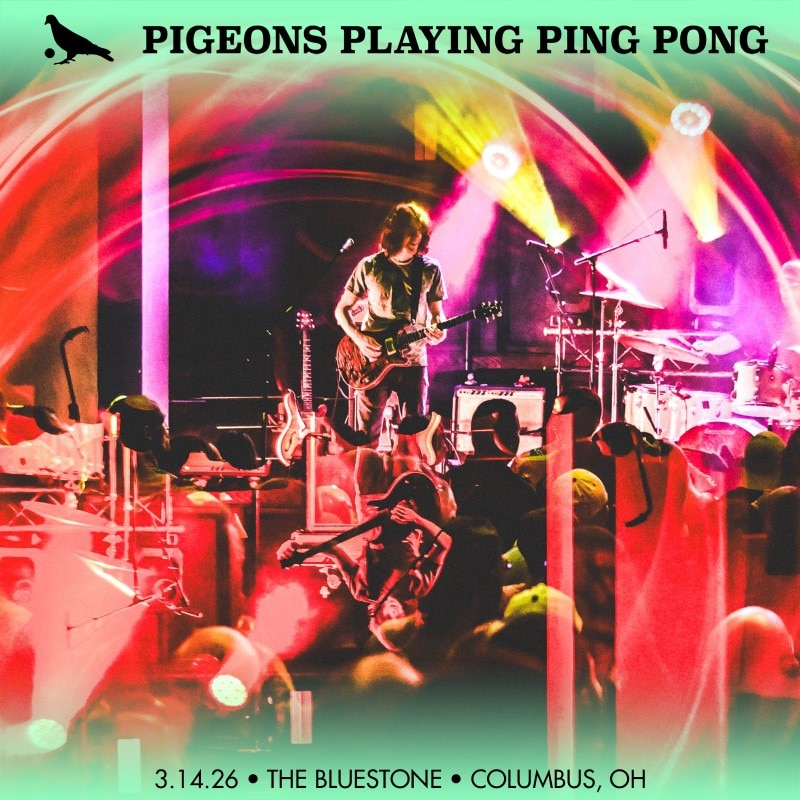 Pigeons Playing Ping Pong