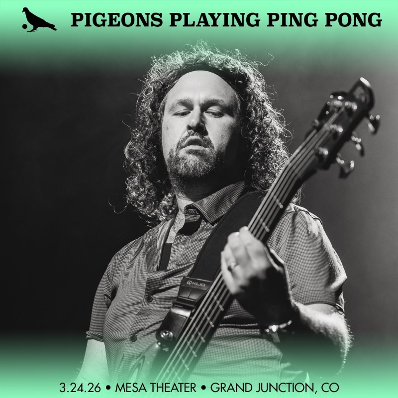 Pigeons Playing Ping Pong