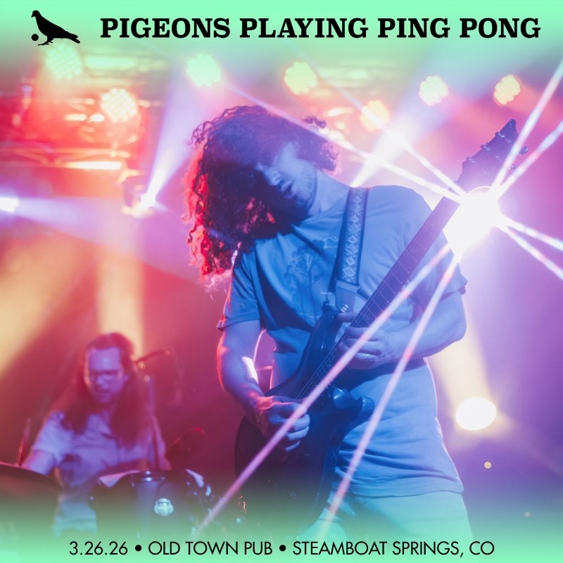 Pigeons Playing Ping Pong