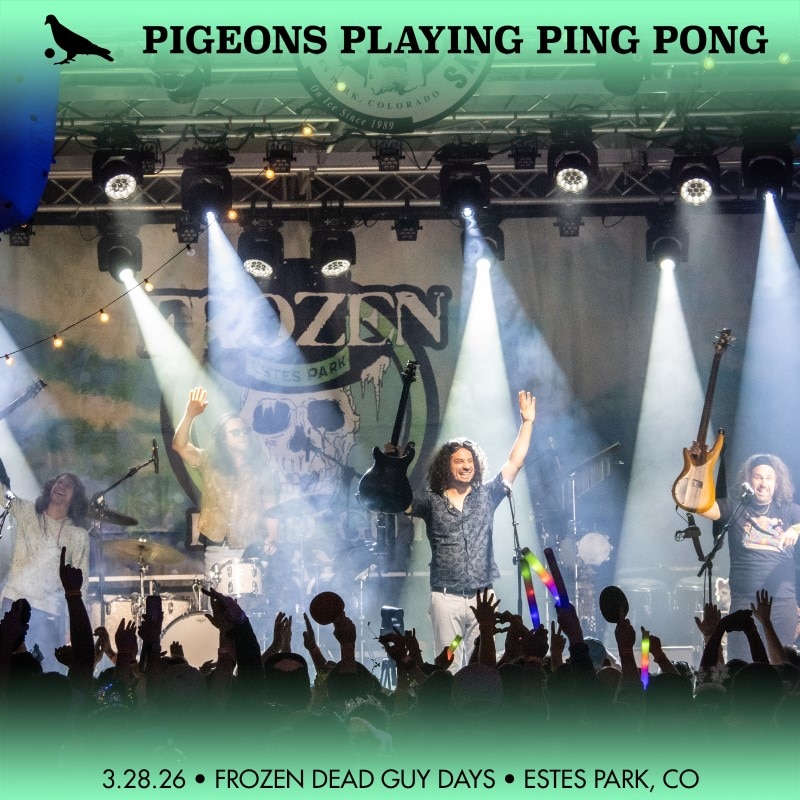 Pigeons Playing Ping Pong