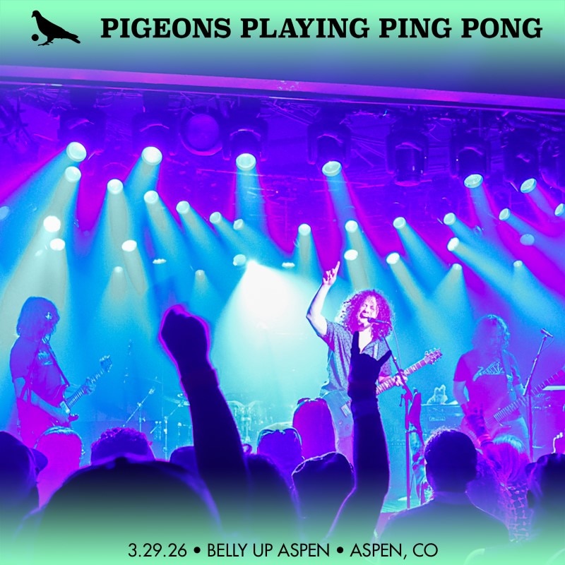 Pigeons Playing Ping Pong