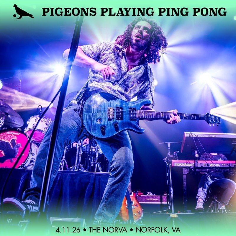 Pigeons Playing Ping Pong