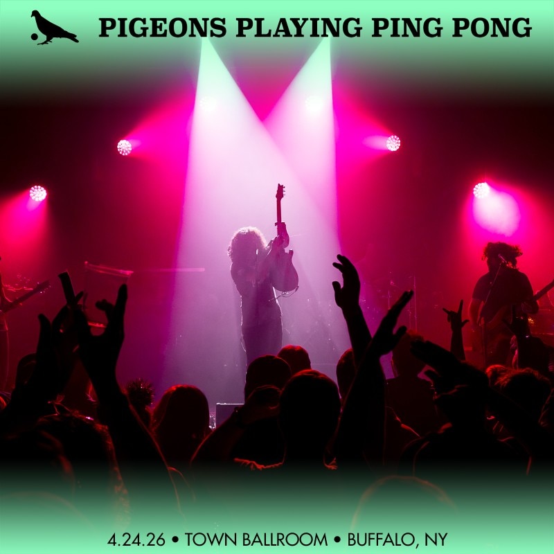 Pigeons Playing Ping Pong