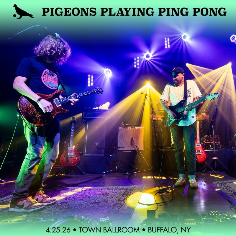 Pigeons Playing Ping Pong