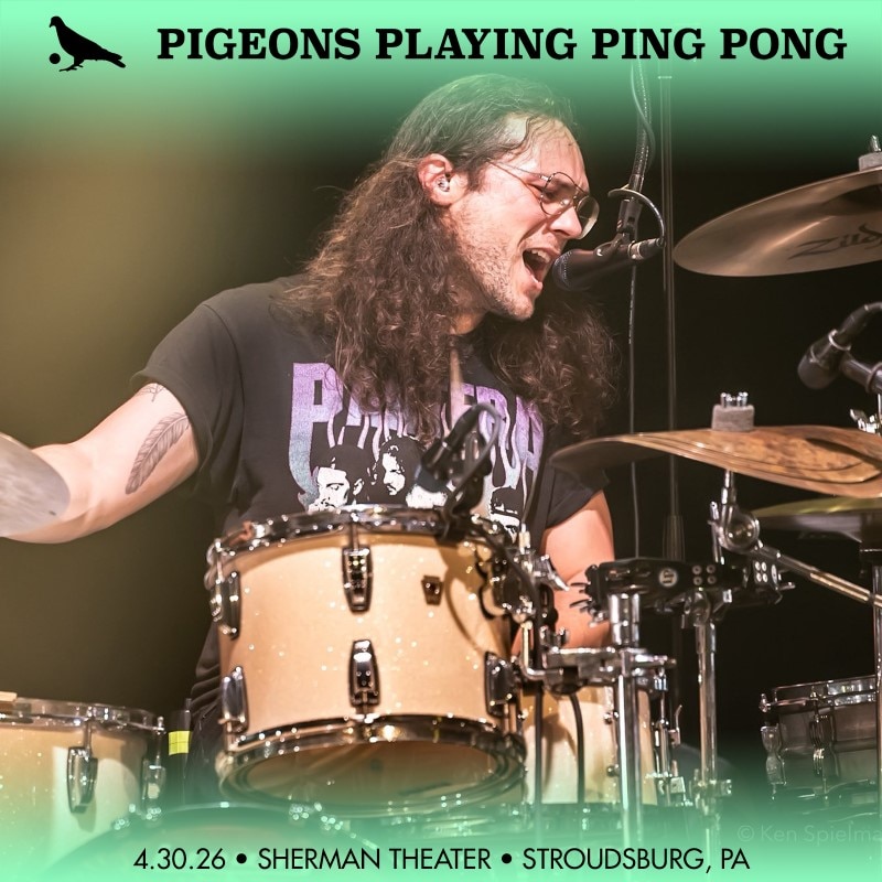 Pigeons Playing Ping Pong