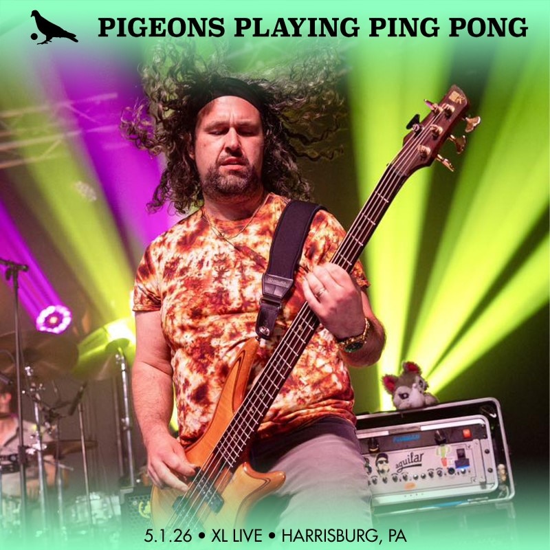 Pigeons Playing Ping Pong