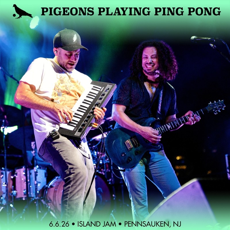 Pigeons Playing Ping Pong
