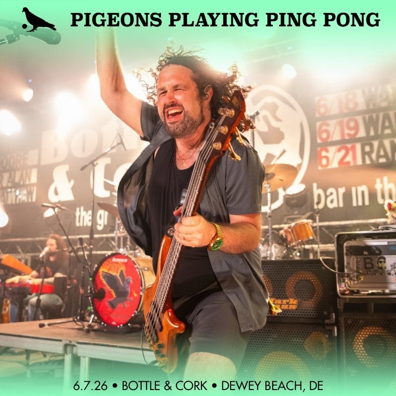 Pigeons Playing Ping Pong