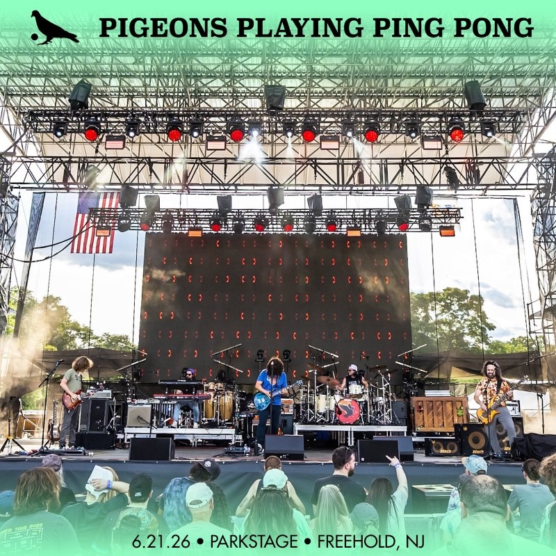 Pigeons Playing Ping Pong