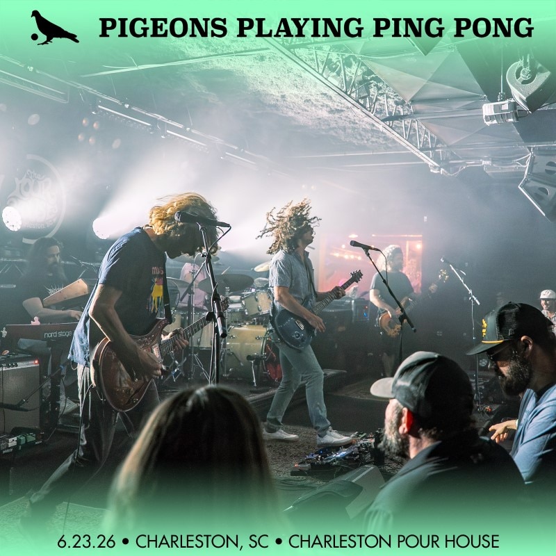 Pigeons Playing Ping Pong