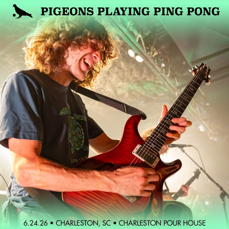Pigeons Playing Ping Pong