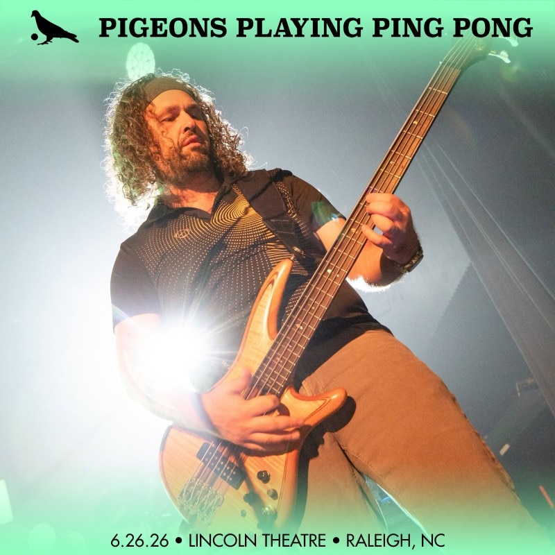 Pigeons Playing Ping Pong