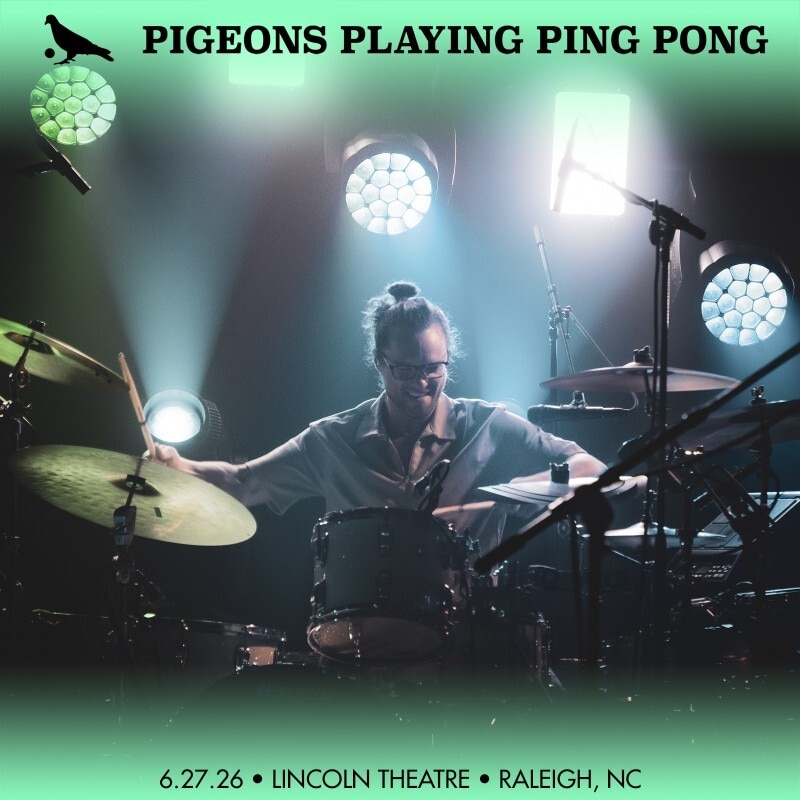 Pigeons Playing Ping Pong