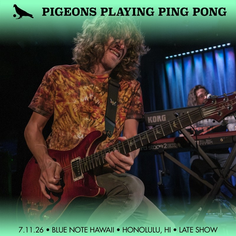 Pigeons Playing Ping Pong