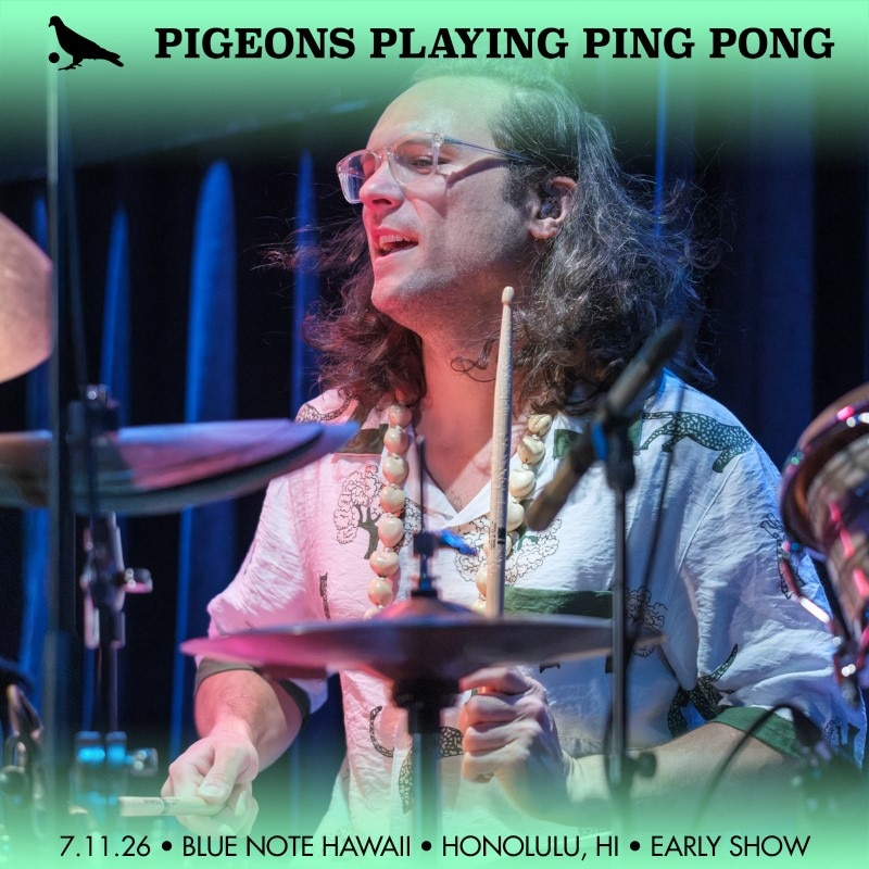 Pigeons Playing Ping Pong