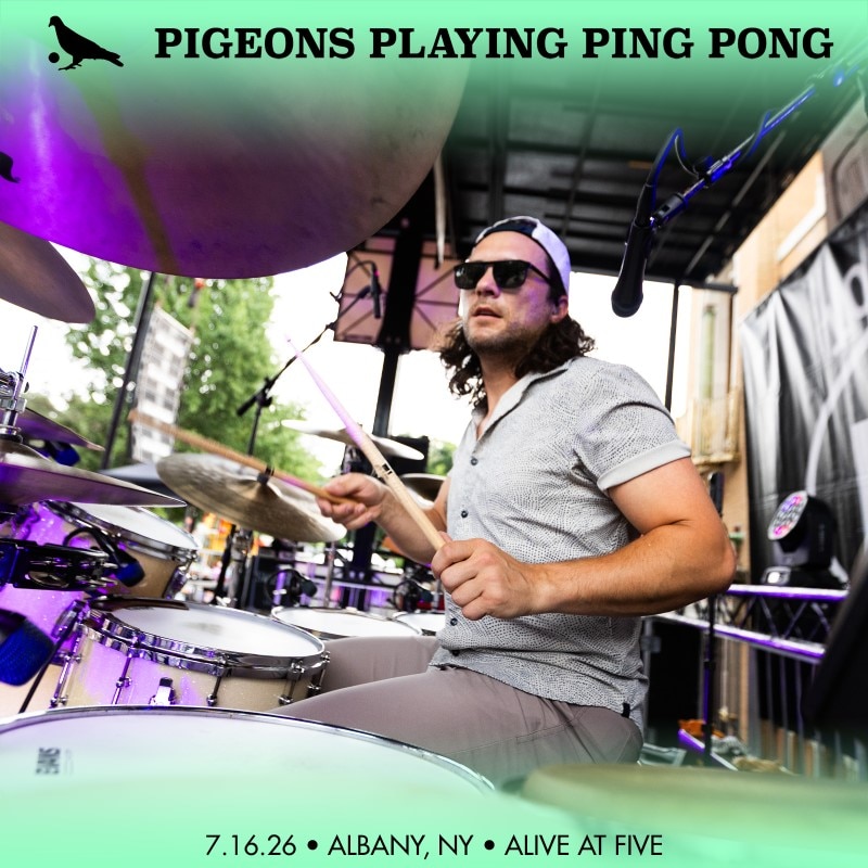 Pigeons Playing Ping Pong