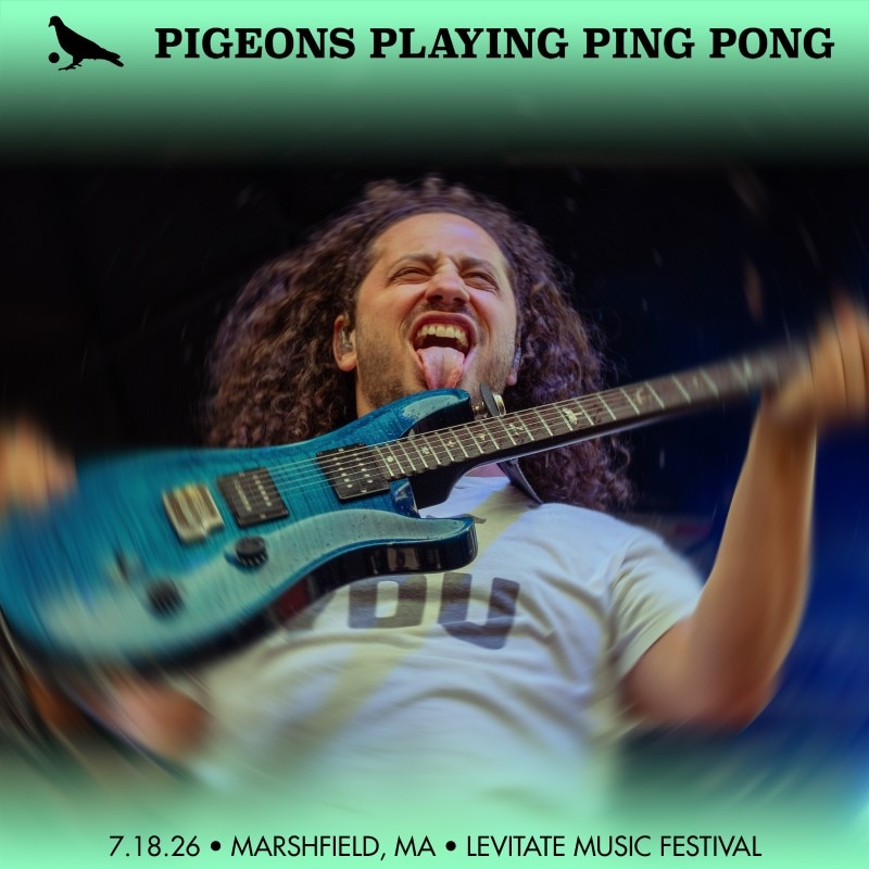 Pigeons Playing Ping Pong