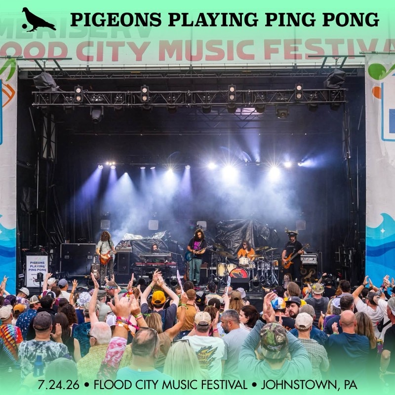 Pigeons Playing Ping Pong