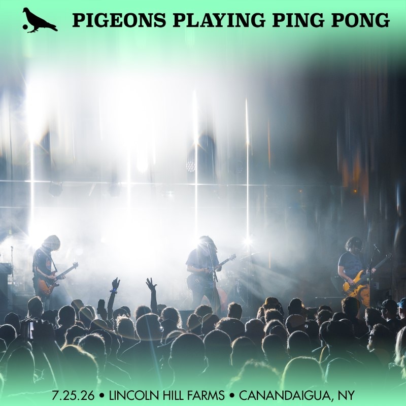 Pigeons Playing Ping Pong