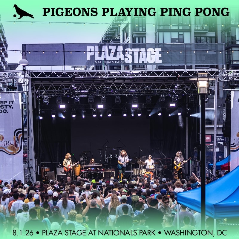 Pigeons Playing Ping Pong