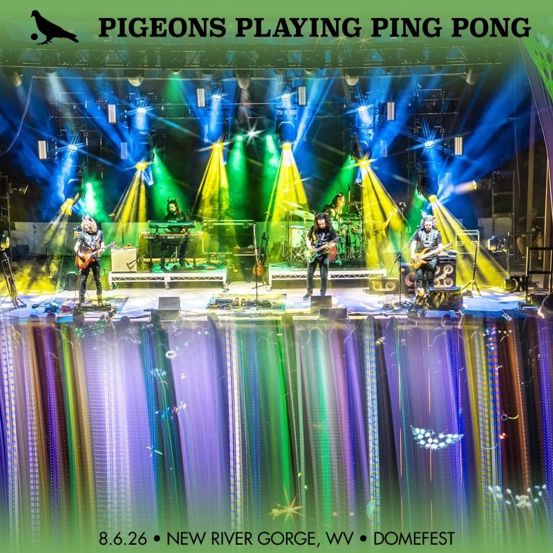 Pigeons Playing Ping Pong