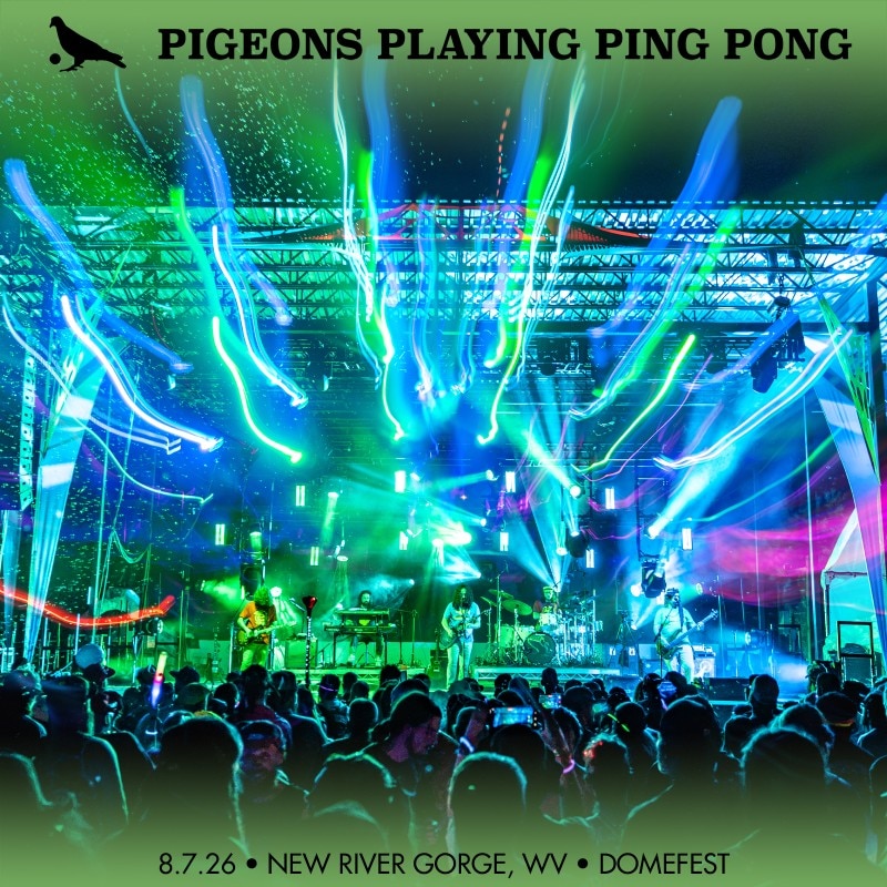 Pigeons Playing Ping Pong