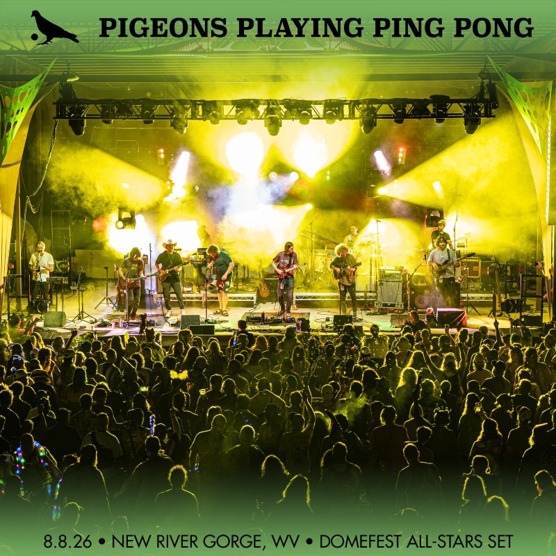 Pigeons Playing Ping Pong