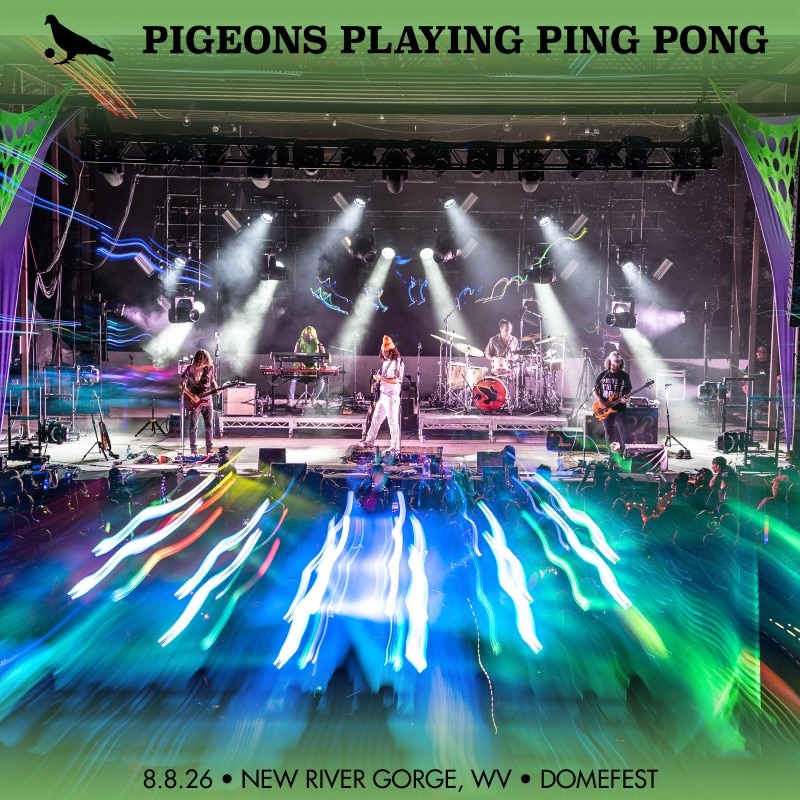 Pigeons Playing Ping Pong