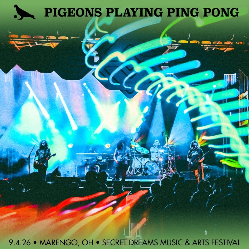 Pigeons Playing Ping Pong
