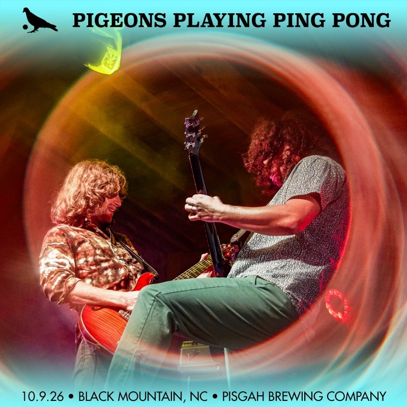 Pigeons Playing Ping Pong