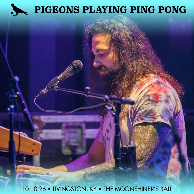 Pigeons Playing Ping Pong