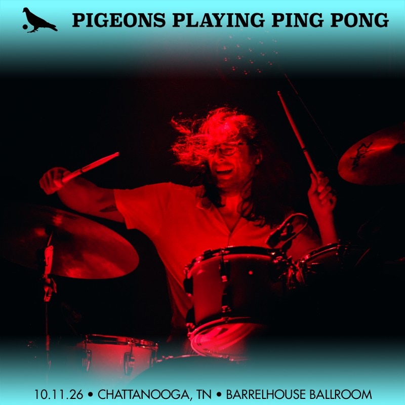 Pigeons Playing Ping Pong