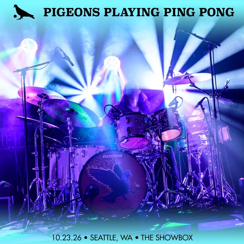 Pigeons Playing Ping Pong