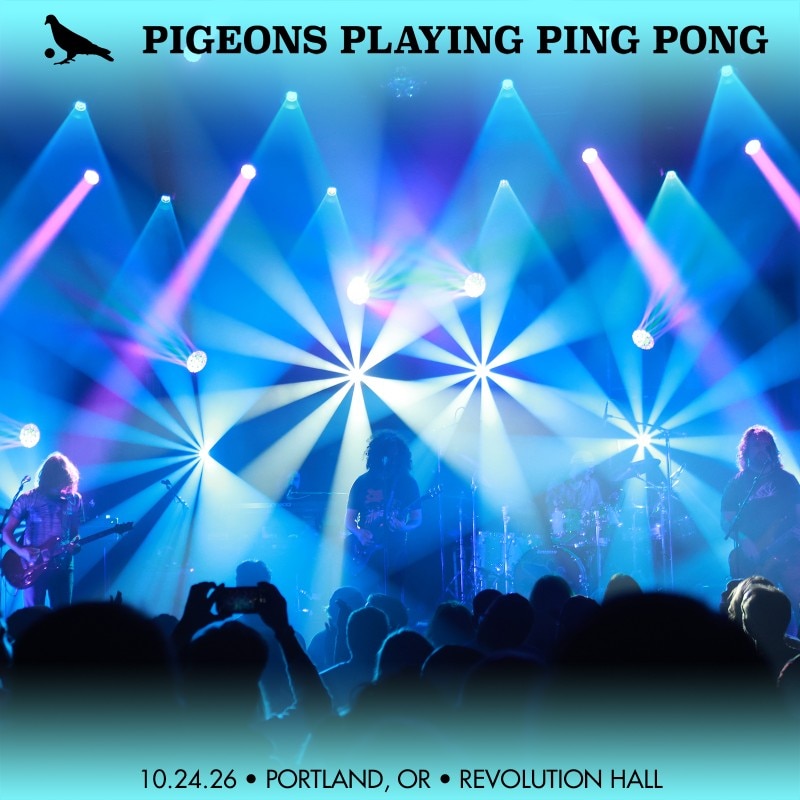 Pigeons Playing Ping Pong