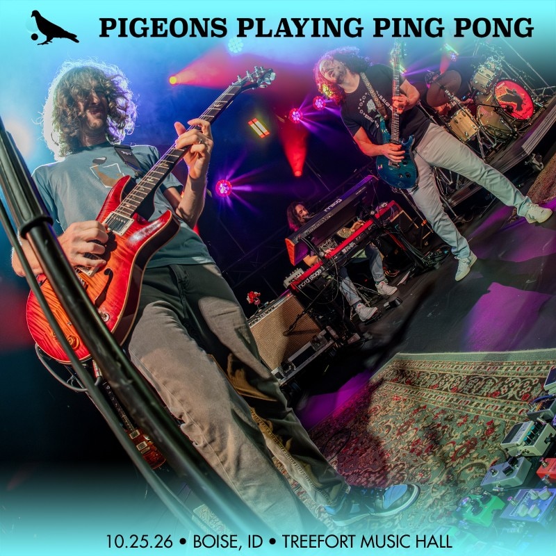 Pigeons Playing Ping Pong