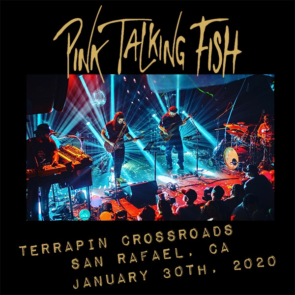 Pink Talking Fish