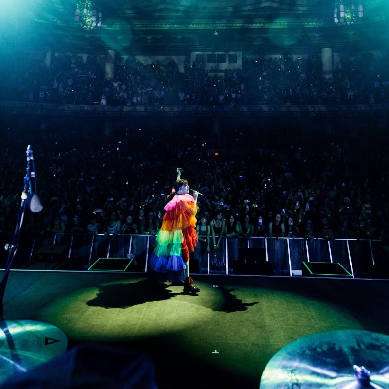 Rainbow Kitten Surprise