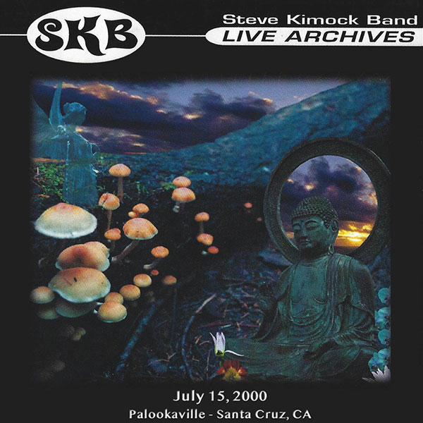 Steve Kimock Band