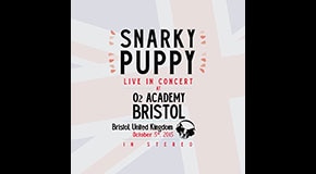 Snarky Puppy