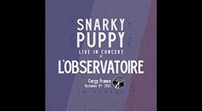 Snarky Puppy