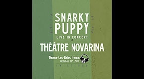 Snarky Puppy