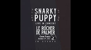 Snarky Puppy