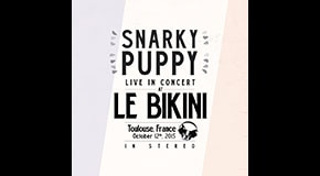 Snarky Puppy