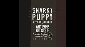 Snarky Puppy