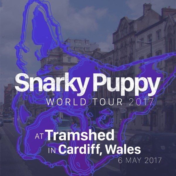 Snarky Puppy