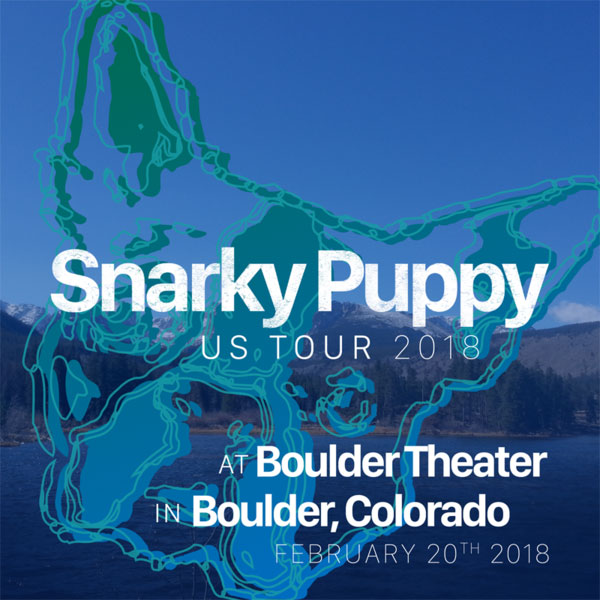 Snarky Puppy